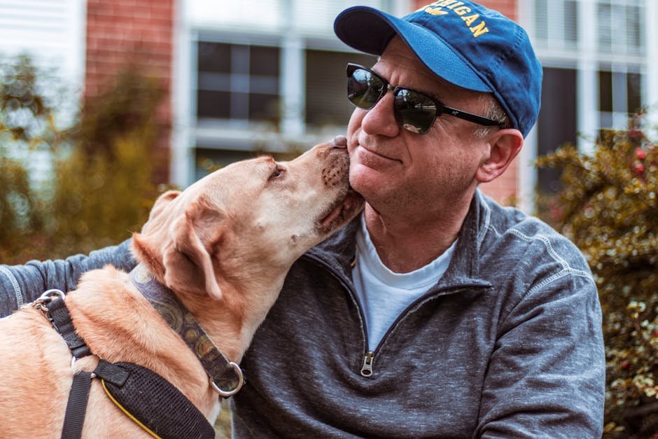 The Ultimate Guide to Choosing the Right Dog Training Collar