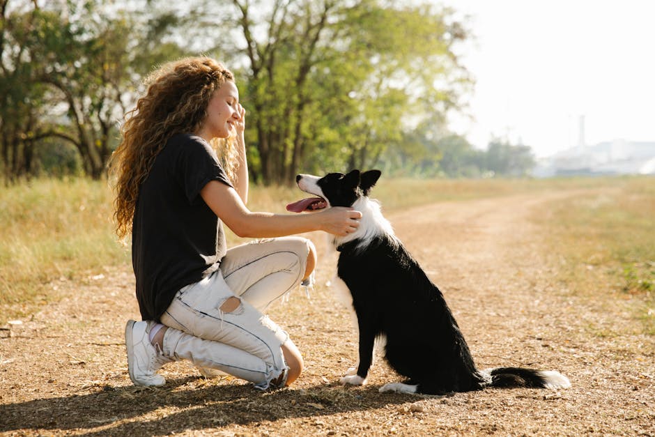 Young woman kneeling, caressing her border collie on a sunny dirt path in a park.