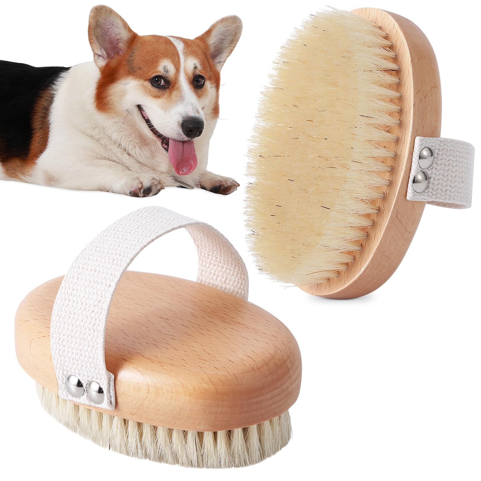 Product | Bath Time & Shedding Hacks: 12 Innovative Tools to Keep Your House and Pet Cleaner Product - Bath Time & Shedding Hacks: 12 Innovative Tools to Keep Your House and Pet Cleaner