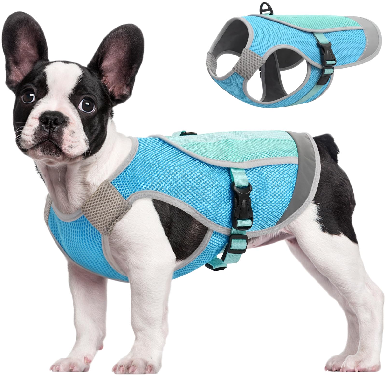 Product | Best Rugged Dog Cooling Vests for High-Energy Outdoor Adventures Product - Best Rugged Dog Cooling Vests for High-Energy Outdoor Adventures