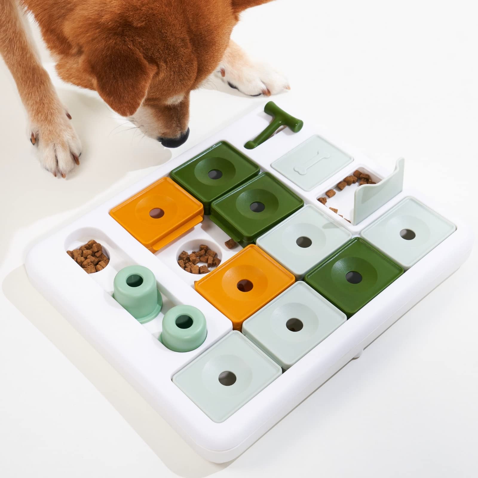 Product | From Beginner to Genius: The Best Progressive Dog Puzzles for Every IQ Level Product - From Beginner to Genius: The Best Progressive Dog Puzzles for Every IQ Level