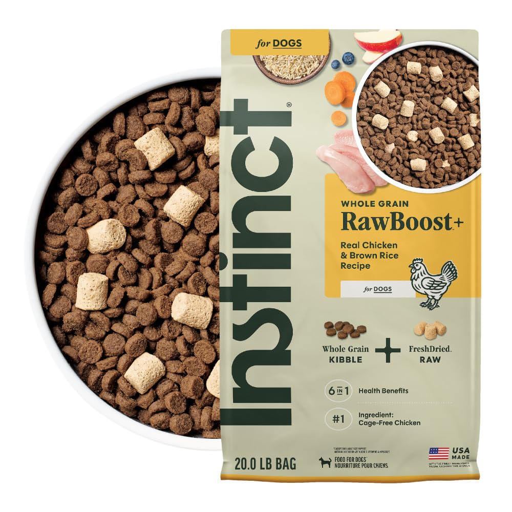 Product - The Best Dry Dog Foods for Adult Dogs: A Complete Comparison of Flavor, Texture, and Nutritional Benefits